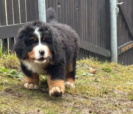 597896437_25641091022177715_7392019113721371127_n