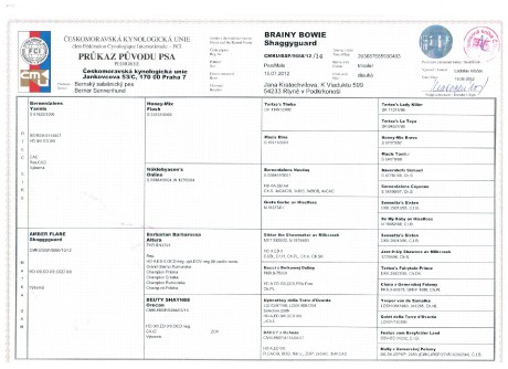 Rodokmen 1 strana.pdf