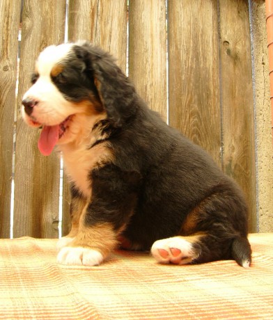Benjamin.