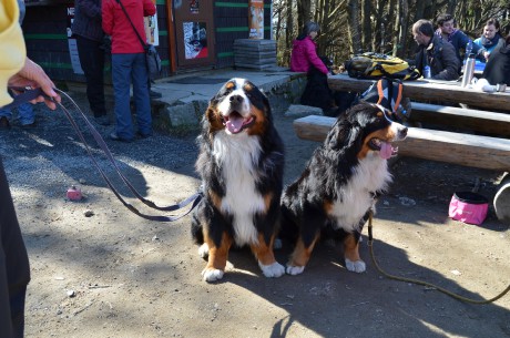 Kopie - Sraz Pustevny 20.4.2014 (15)