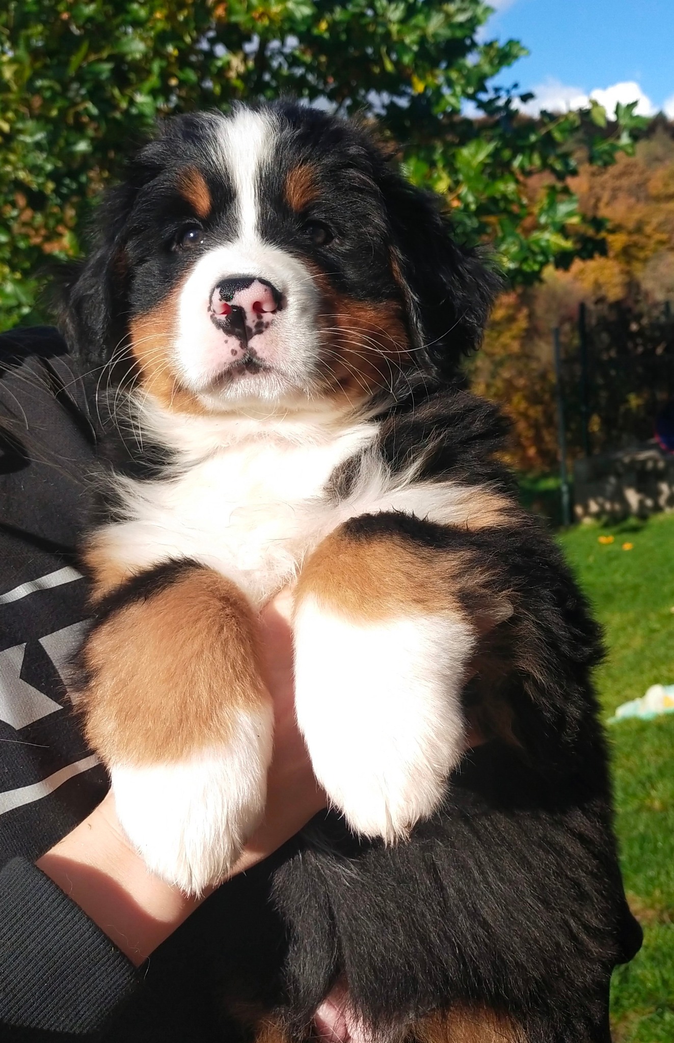 Leontýnka zůstává u Jitky