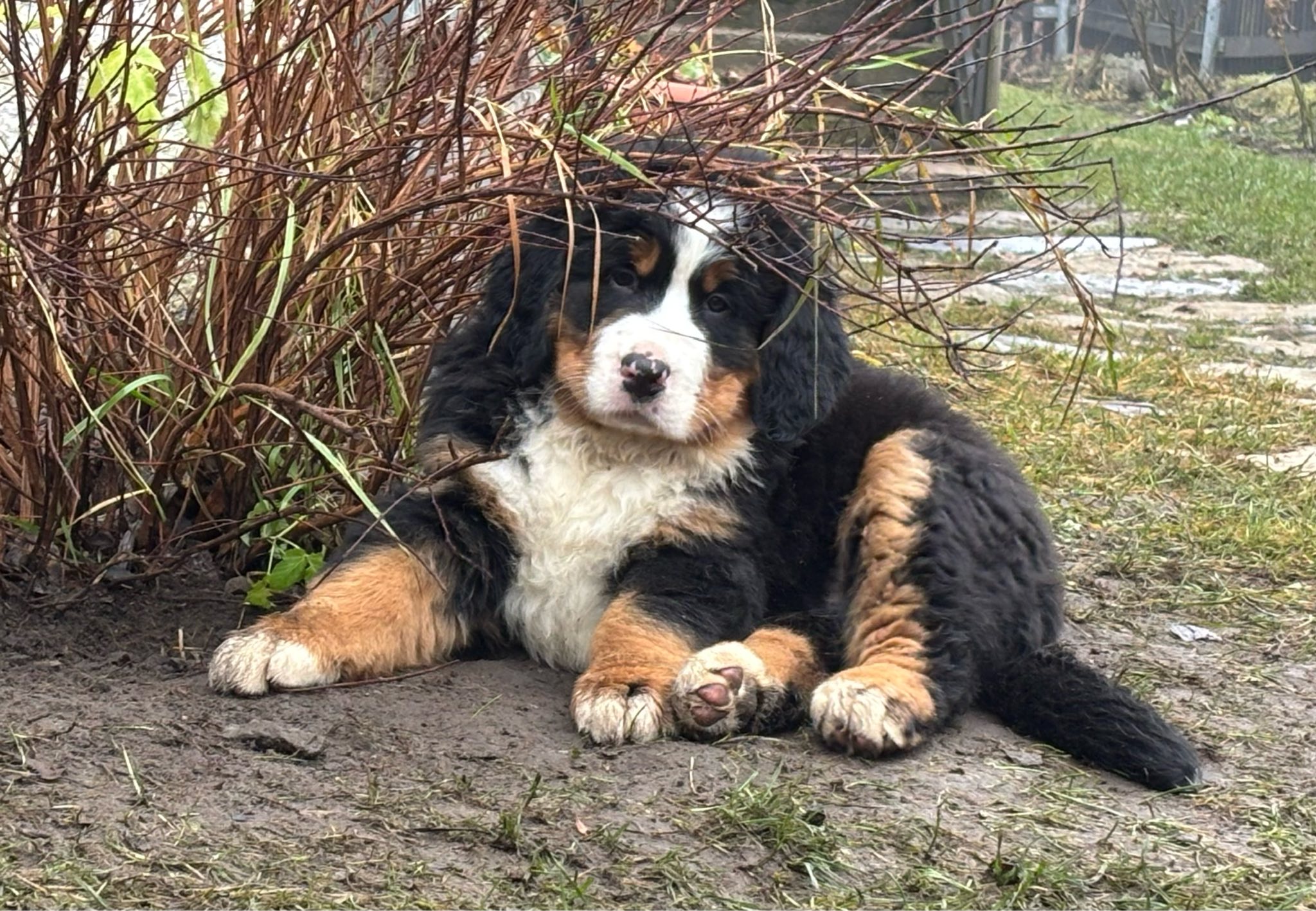 599922821_25641120382174779_4607686287970747683_n