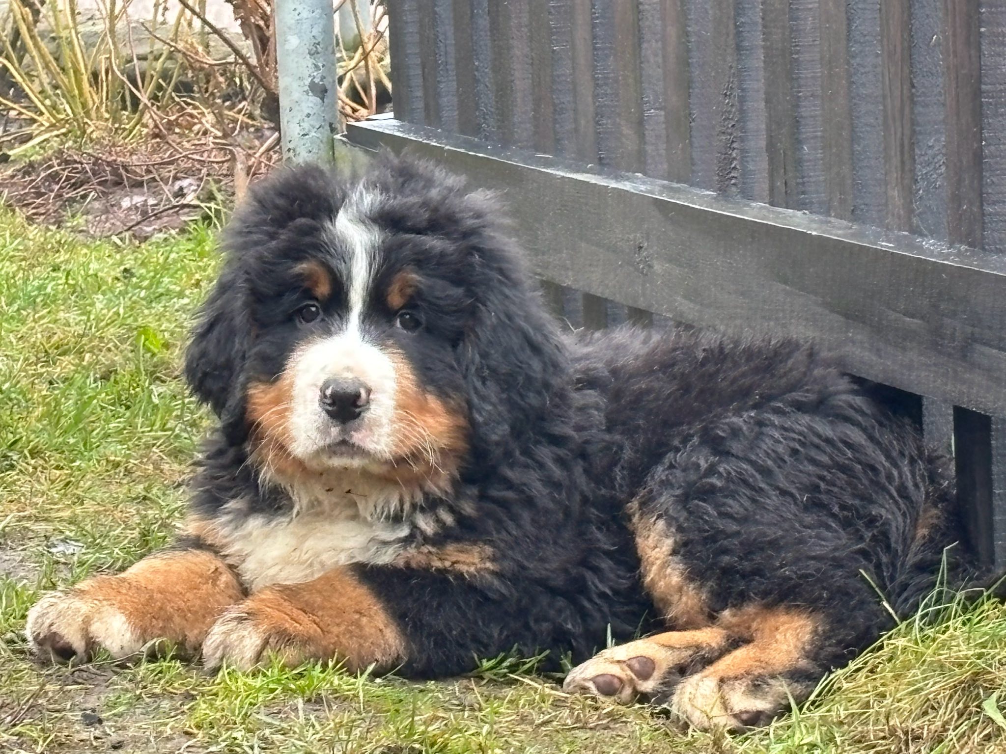 599942113_25641091238844360_5484938213868569977_n