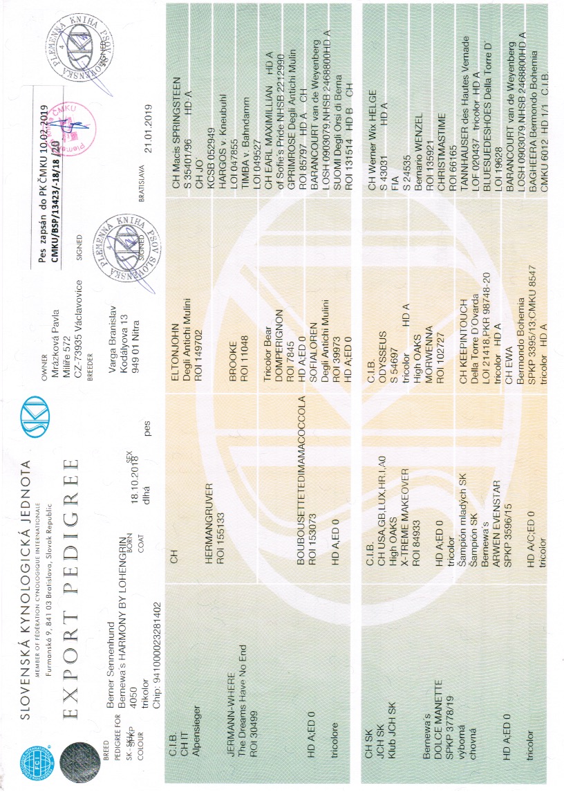 PP 1 strana - Lohengrin