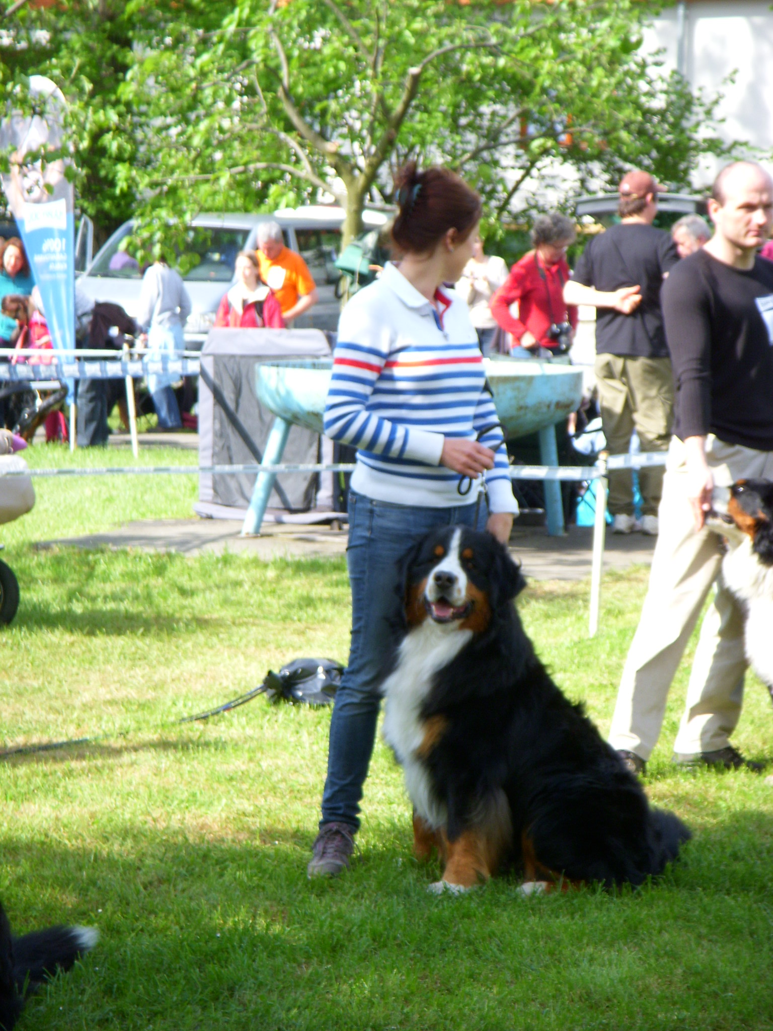 Klub.Výstava Rožnov pod Rad. 10.5.2014 (13) 