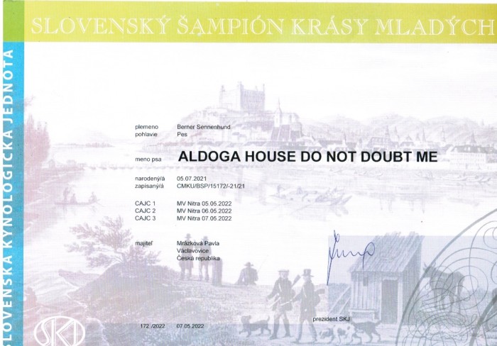 jchsk-aldoga-house-do-not-dout-me.jpeg