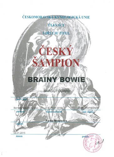 cesky-sampion-4.1.2015--1-.jpeg