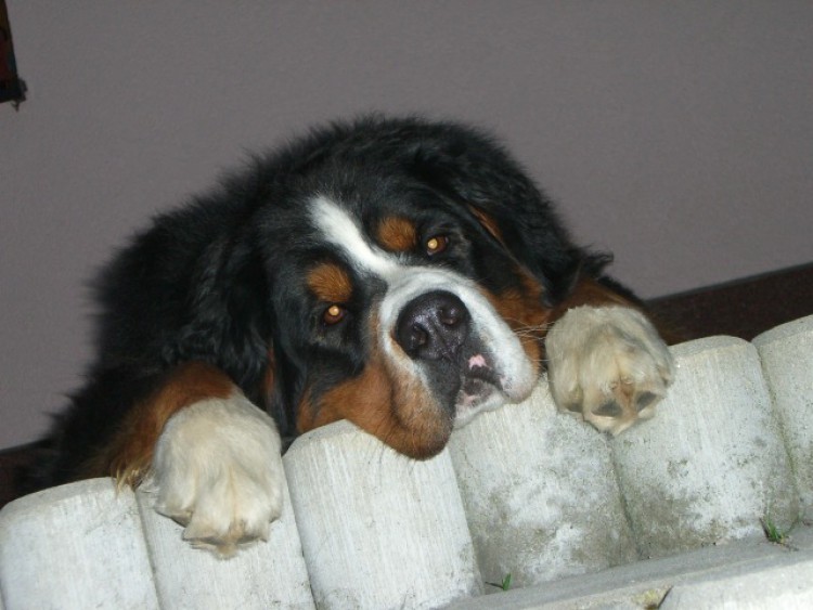 foto-008.jpg